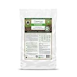 BodenLiebe RASENERDE - Dichter Traumrasen - Rasenerde torffrei für Neuansaat & Reparatur, dauerhaft locker & formstabil, ebnet den Boden, auch für Rollrasen, regional, 10 L