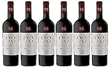 Novantaceppi Primitivo Puglia IGT Rotwein halbtrocken (6 x 0.75 l)