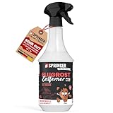 SPRINGER RX1000 - - Flugrostentferner 1L - - Made in Germany - - Schonender & tiefenwirksamer Rost-Reiniger - - Rostentferner für Flugrost, Korrosionsspuren, Industriestaub, etc.