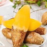 Yacon bonsai topf zwergobstbäume hochbeete für garten spalierobst topfpflanzen steingartenpflanzen pflanzenkübel obstpflanzen kräutergarten obstsamen obstbäume balkon deko exotische 880samen