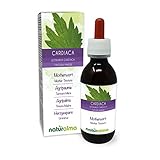 Herzgespann (Leonurus cardiaca) Kraut mit Blüten Alkoholfreier Urtinktur Naturalma - Flüssig-Extrakt Tropfen 120 ml - Nahrungsergänzungsmittel - Veganer