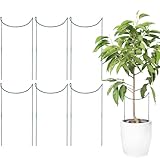Rankstäbe für den Innenbereich | 6 Stück Metallstäbe für Gartenkäfig | Gartenzubehör aus Metall, halbrund, rostfrei, Halterung für Hortensien