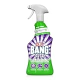 CILLIT BANG Expert Kraftreiniger Universal Fettlöser –...
