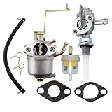 Vergaser Für Einhell STE 800 STE 800/1 STE 8000/1 STE 850 BT-PG850/2 BT-PG850/3，Vergaser mit Kraftstoffleitung Kraftstofffilter Dichtung Clips Kraftstoffhahn