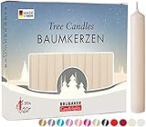 BRUBAKER 20er Pack Baumkerzen Wachs - Weihnachtskerzen Pyramidenkerzen Christbaumkerzen - Champagner