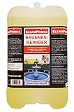 CleanPrince Brunnenreiniger 5 Liter | Brunnen Springbrunnen Algen Wasserklärung Reiniger Gartenbrunnen klären Brunnenklar Brunnenfresh