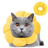 Wishstar Halskrause Katze Größen S, Leckschutz Katze,...