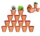 HDKAJL 20 Stücke Terrakotta Topf, Tonpflanztöpfe, Mini Blumentopf Terrakotta mit Abflussloch, Keramik Pflanztopf für Pflanzen im Innen und Außenkaktus Sukkulenten Hauspflanzen (3,5 x 3 cm)