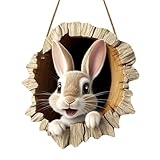 Acryl Deko Anhänger Osterhase Kaninchenloch Türschild Holz Ostern für festlichen Haus & Party Eingang 30x30cm (A, One Size)