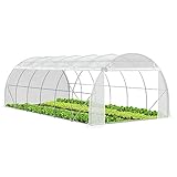 VOUNOT Gewächshaus Foliengewächshaus, Seitenwände Aufrollbar Winterfest, Tomatenhaus Folientunnel, 6x3x2m 18m², Weiß