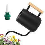 1L Gießkanne Zimmerpflanzen, Gießkanne Indoor Blumengießkanne Edelstahl-Giesskanne mit Langem Auslauf Holzgriff, für Garten Zimmerpflanzen