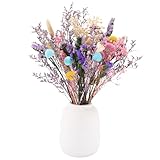 Xialvyu 34 Stück Trockenblumenstrauß, 13 Sorten Trockenblumen Naturliche, Trockenblumen Deko Bunt, Dried Flowers, Strohblumen Getrocknet für Wohnzimmerdeko, Tischdeko, Hochzeitsarrangement