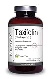 TAXIFOLIN (Dihydroquercetin) 100mg pro Tagesdosis - pflanzliche Kapsel - Vegan - Ohne Magnesiumstearat - 300 Kapseln vege KENAY EUROPE