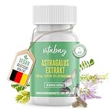 Vitabay Astragalus Kapseln Hochdosiert 1.600 mg - 90 Astragalus Kapseln VEGAN Astragalus Extrakt aus der Astragalus Wurzel - Tragantwurzel Astragalus Membranaceus mit 20% Polysaccharide Laborgeprüft