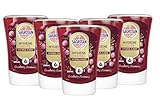 Sagrotan No-Touch Nachfüller Cranberry Edition – Für den automatischen Seifenspender – 5 x 250 Milliliter Handseife im praktischen Vorteilspack