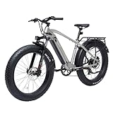 Bodywel D6 E Fatbike Herren Damen, 26x4 All Terrain E Bike Mountainbike, 48V 13.5Ah Akuu, 250W Heckmotor, 7-Gang-Getriebe, Federgabel Verstellbar, Hydr. Scheibenbremsen, Legierungsrahmen (Silber)