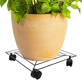 Home it Pflanzenroller, fest, 30 x 30 cm, quadratisch, aus verzinktem Stahl, schwarz, mit 4 Rollen, Kapazität 50 kg, für Pflanzen im Innen- und Außenbereich