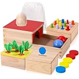 Montessori Holzspielzeug ab 1 Jahr, 4-in-1 Motorikspielzeug, Montessori Spielzeug Baby, für Jungen und Mädchen, Objektpermanenz Sortierspiel, für Kinder als Weihnacht Geburtztag NeuJahr Geschenk