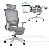 FLEXISPOT Ergonomischer Bürostuhl, Foldex, klappbarer Bürostuhl für Kleine Räume mit Lendenwirbelstütze, Höhenverstellbaren Armlehnen, 2D Kopfstütze, Schreibtischstühle mit Fußstütze Grau