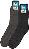 Wowerat 70% reine Schafwollsocken Immerwarm-normallang 5er-Bündel (42/44, loden)