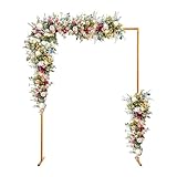 MINRS 2,0 x 1,5 M Metall Hochzeitsbogen, Tragbar Traubogen, Tragfähigkeit Von bis zu 5 kg, Kann DIY-Dekoration Traubogen Hochzeit, für Hochzeiten, Jubiläen, Geburtstagsfeiern, Heiratsanträge