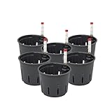Leni Kulturtopf für Hydrokultur-Systeme Set mit Wasserstandsanzeiger | Größen zur Wahl 5-32 cm rund | Langlebiger Kunststoff (6er-Pack, Ø: 11cm | H: 9cm)