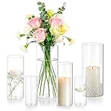 QEEYON 6er-Pack Vasen Set Glasvase Zylinder,10/15/20cm Durchsichtige Glasvase, Groß Vase Glas kerzengläser Windlicht Glas, Kerzenhalter Glasvasen für Tischdeko Hochzeitsdeko