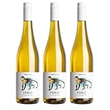 FairGrapes Grauburgunder »Pablo« Weißwein Trocken | 90 Punkte Falstaff | Best Buy | Aprikose & Birne | Vegan | Geschenkidee (3 x 0.75 l)