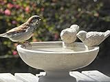 Vogeltränke auf Sockel ⌀ ca. 21-25 cm, Vogelbad oder Futterstelle für Vögel, Bienen, Hummeln etc.