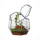 NCYP 19,1 cm Kleines Geometrisches Terrarium mit Tür, Schwarzer Unregelmäßiger Glas-Übertopf, Sukkulenten-Kakteen-Blumentopf, Heim-Garten-Dekoration, DIY-Geschenk (Ohne Pflanzen und Requisiten)