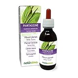 Spitzwegerich oder Lungenblattl (Plantago lanceolata) Blätter Alkoholfreier Urtinktur Naturalma | Flüssig-Extrakt Tropfen 120 ml | Nahrungsergänzungsmittel | Veganer