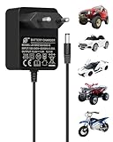 12V Ladegerät für Elektroautos für Kinder, 12V 1A Universelles Ladegerät Kinderfahrzeuge für Elektro-Spielzeugautos, Motorrädern SUV ATV Auto eine Vielzahl von Elektroautos, 2,1mm x 5,5mm DC-Stecker