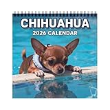 Wandkalender 2026 | Monatskalender zum Thema Hunde, Jahresplaner 2026 – für Schlafzimmer, Reisen, Arbeit, Wohnung, Schlafsaal, Hotel, Zimmer
