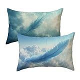 Kissenbezug Schmucklos 60X80cm 2er Set Outdoor leinen Kissenbezüge Kissenhüllen Modern Dekokissen Pillows mit Verstecktem Reißverschluss Sofakissen Cover für Sofa Bett Wohnzimmer Garten Deko y-254