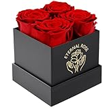 DATEFUN Rosenbox mit Konservierte Blumen - 4 Infinity Rosen Ewige Rose - Ewige Blume Geschenkbox Geschenke für Frauen für Valentinstag Muttertag, Weihnachten, Geburtstag, Hochzeitstag (Rot)