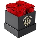 DATEFUN Rosenbox mit Konservierte Blumen - 4 Infinity Rosen Ewige Rose - Ewige Blume Geschenkbox Geschenke für Frauen für Valentinstag Muttertag, Weihnachten, Geburtstag, Hochzeitstag (Rot)