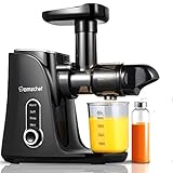 AMZCHEF Entsafter Gemüse und Obst mit 2 Geschwindigkeitsmodi - Slow Juicer mit Tragbare Flasche und 2 Tassen - BPA freie Cold Press Juicer mit Intelligente LED und Umkehrfunktion - Schwarz