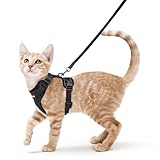 rabbitgoo Katzengeschirr mit Leine Softgeschirr für Katze Brustgeschirr Cat Harness Katzengarnitur Ausbruchsicher Verstellbar Katzenweste Schwarz XS