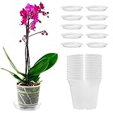 Orssmigs 10 Stück Orchideentopf Transparent Ø11,5cm x Höhe 11cm Kunststoff Pflanztöpfe Orchideen übertopf Atmungsaktiver Geschlitzter Blumentopf mit Drainageloch/Untersetzer für Indoor Outdoor Balkon