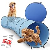 3 Meter Pop-Up Agility Tunnel Set für Hunde mit Tragetasche - Hundetunnel Spieltunnel Haustier Agilitytunnel Kriechtunnel inkl. 8 Heringe und Tasche - faltbarer Tunnel für Hundesport (300x48cm, 901g)