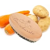 SEPGLITTER Gemüsebürste, 11 * 6cm Spülbürste Holz Gemüsebürste Holz für Kartoffeln Karotten Obst, Küchenbürste aus Holz für Gemüse und Obst