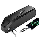 48V Ebike Akku Pedelec Akku Ebike Batterie- Lithium ion Elektrische Fahrrad Batterie für 1000W/ 750W/ 500W Fahrradakku E-Bike Motor - Akku(48Volt 13Ah)