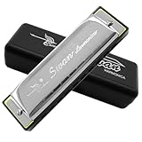 Mundharmonika C Dur 10 Loch Blues Harp Diatonische Harmonika Harmonica für Erwachsene Kind Kinder Student Lehren Anfänger Geschenk