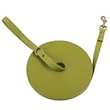 Wisedog Schleppleine für Hunde,Robuste, Wasserabweisende Lange Hundeleine Übungsleine für Hunde Grün 3m