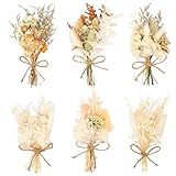 LAUMOE 6 Bündel Trockenblumenstrauß, Trockenblume, Getrocknete Blumen, Trockenblumen Zum Basteln Trockenblumen klein für Bilderrahmen DIY Heim-Party Und Hochzeitsdekoration (Stil 3)