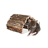 Relaxdays Nagerbrücke Holz, 40 x 65 cm, Käfig Zubehör Kaninchen & Meerschweinchen, biegbar, Holzbrücke Nager, Natur
