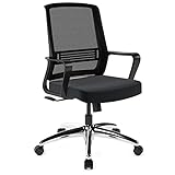 FLEXISPOT OC51 bürostuhl schreibtischstuhl ergonomischer Drehstuhl mit Rollen(schwarz)