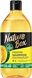 Nature Box Shampoo Frische (385 ml), Haarshampoo mit kaltgepresstem Melonen-Öl, Pflegeshampoo für fettigen Ansatz & trockene Spitzen, Flasche aus 100% Social Plastic