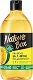 Nature Box Shampoo Frische (385 ml), Haarshampoo mit kaltgepresstem Melonen-Öl, Pflegeshampoo für fettigen Ansatz & trockene Spitzen, Flasche aus 100% Social Plastic