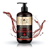 Argan Deluxe Treatment Mask - Arganöl Haarpflege gegen Frizz, Spliss, kaputte Haare, Haarbruch - Für seidig-weiches Haar - Argan Öl Haarkur aus Marokko - 300 ml